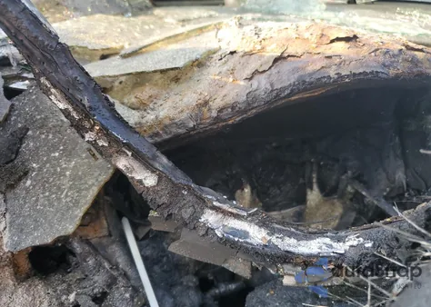 2016 Nissan Sentra S z USA, uszkodzony, nr VIN 3N1AB7AP7GY315058